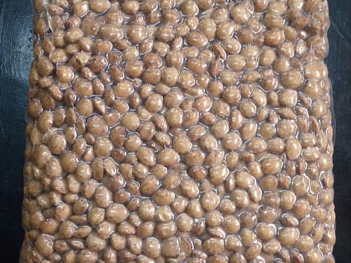 Roasted Sacha Inchi 