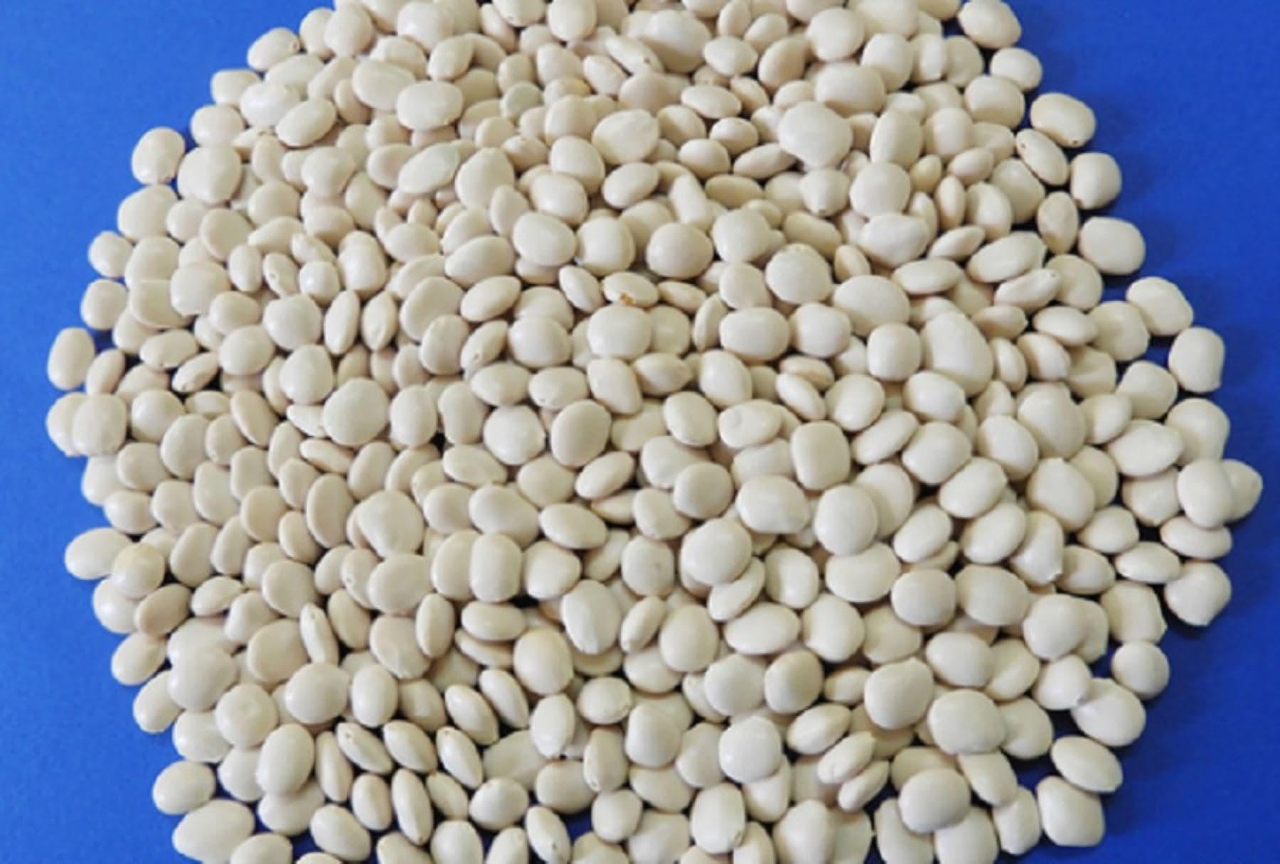 Premium Andean Lupin Beans (Tarwi)