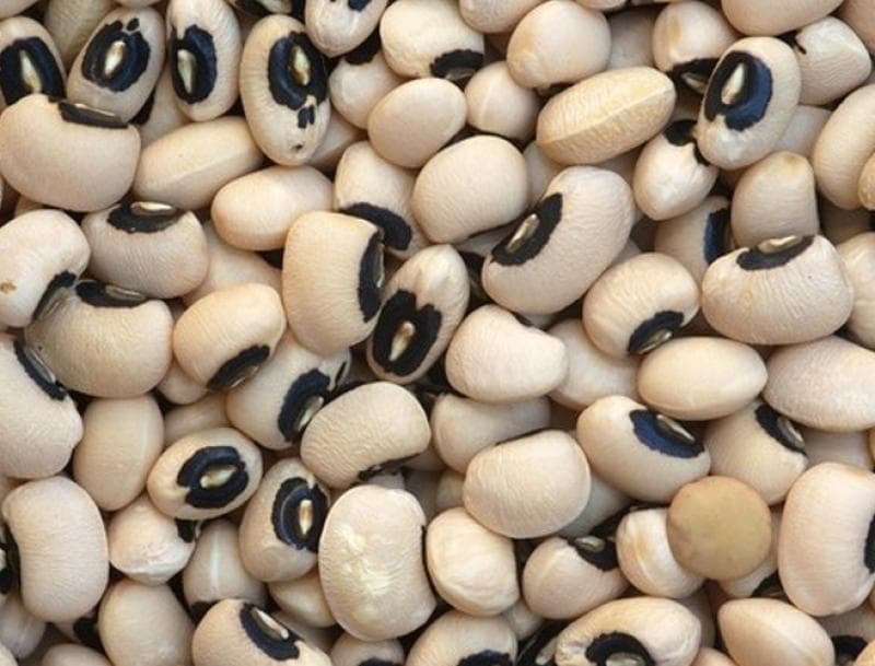 Black Eyed Pea