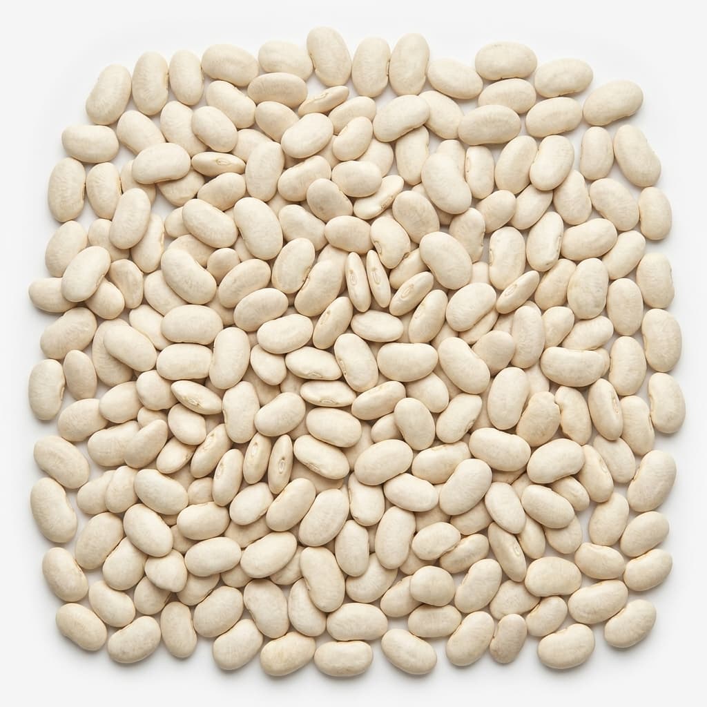 Premium Peruvian Lima Beans (Pallar)