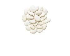 Peruvian Baby Lima Beans