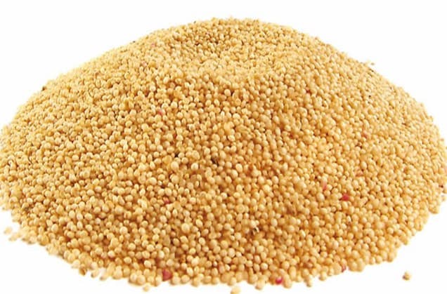 Organic Kiwicha / Amaranth