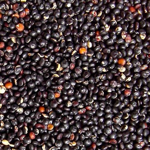 Black Quinoa From Perú