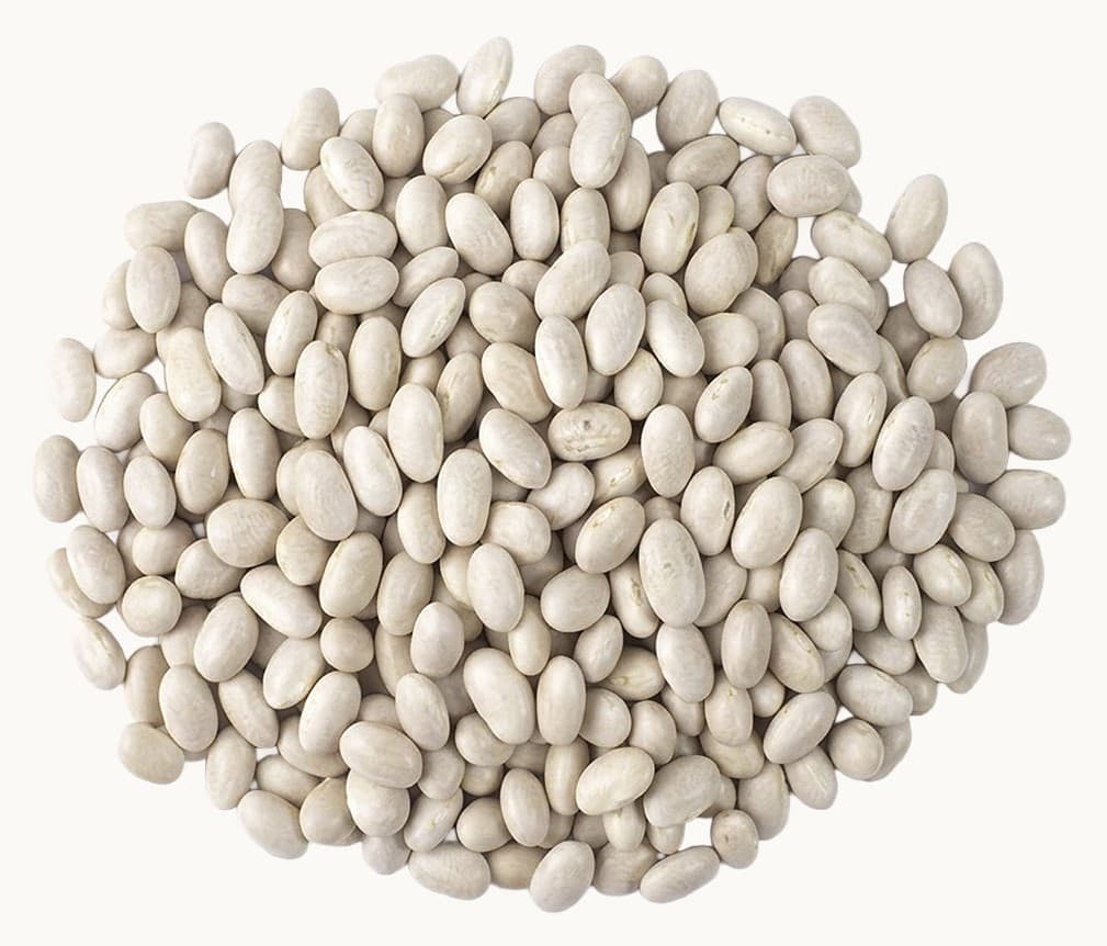 Panamito Bean