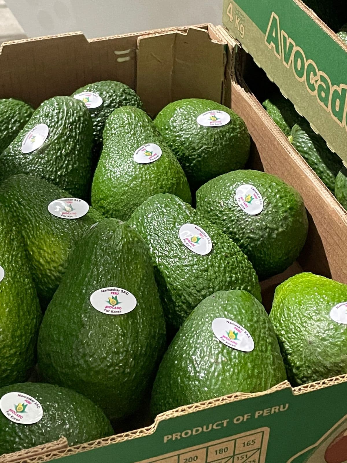 Avocados
