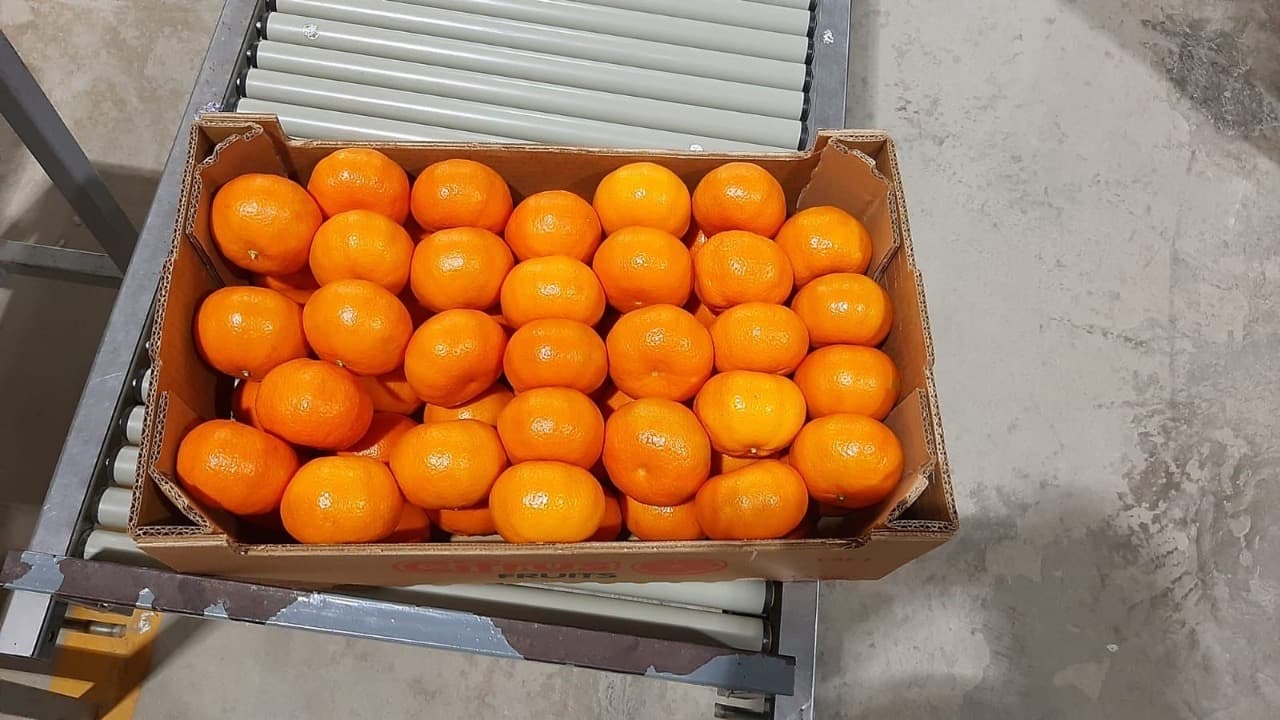 Fresh Mandarin from Peru