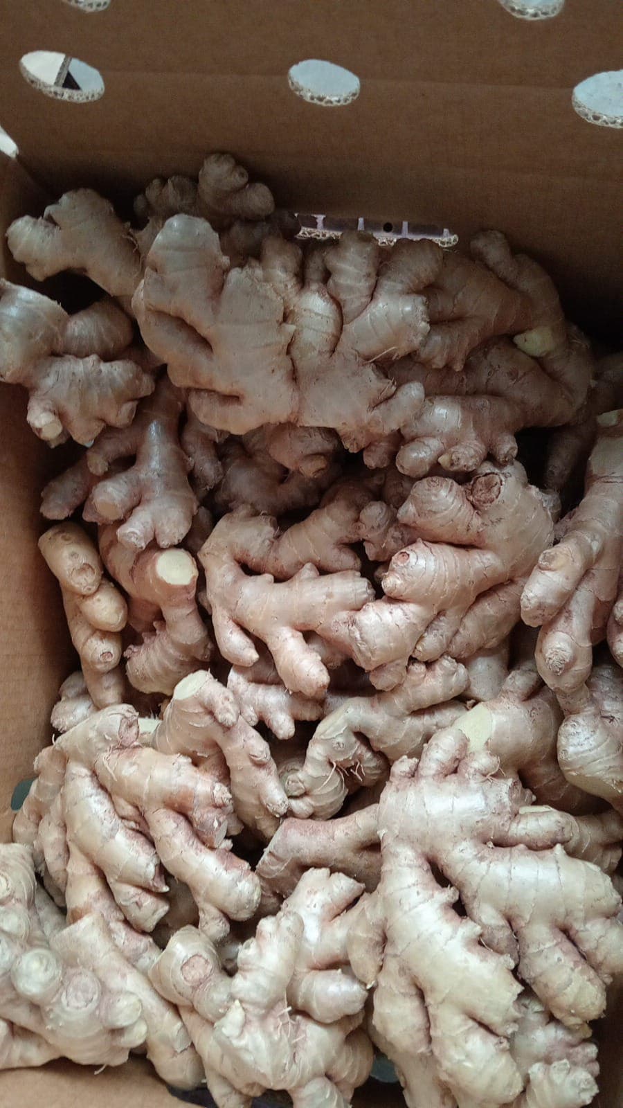 Organic Fresh Ginger from Peru
