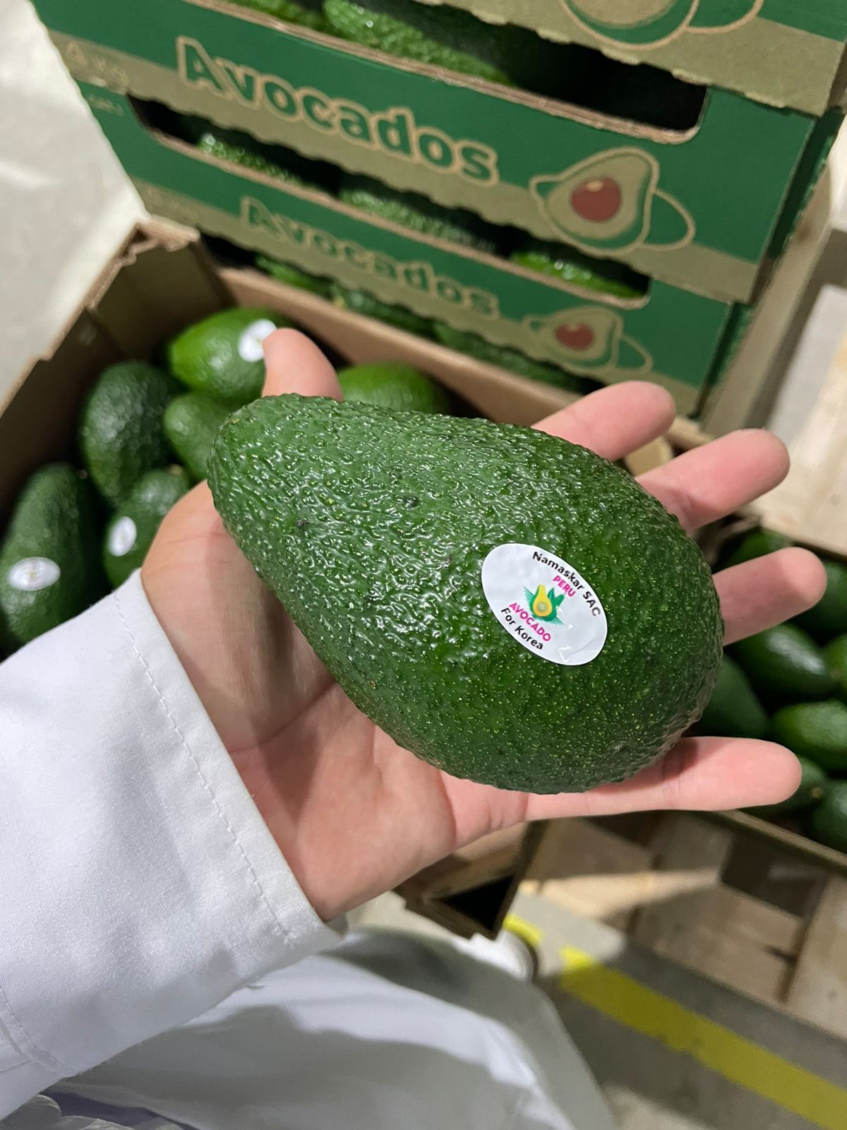 Avocados thumbnail 2