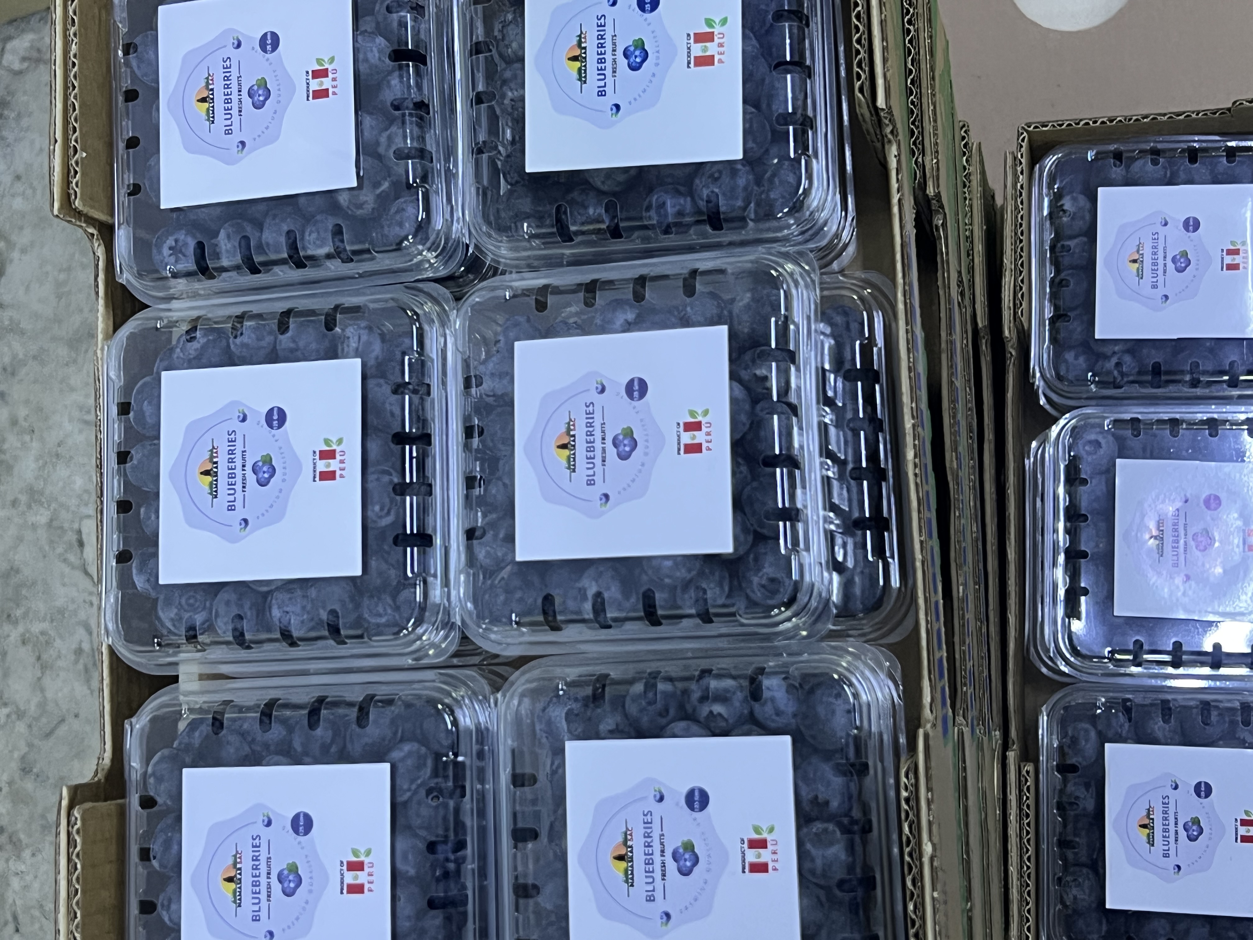 Blueberries thumbnail 4