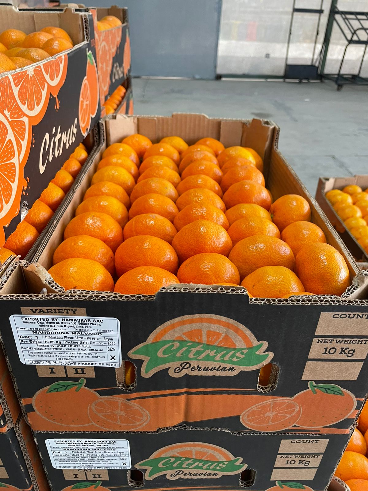 Fresh Mandarin from Peru thumbnail 5