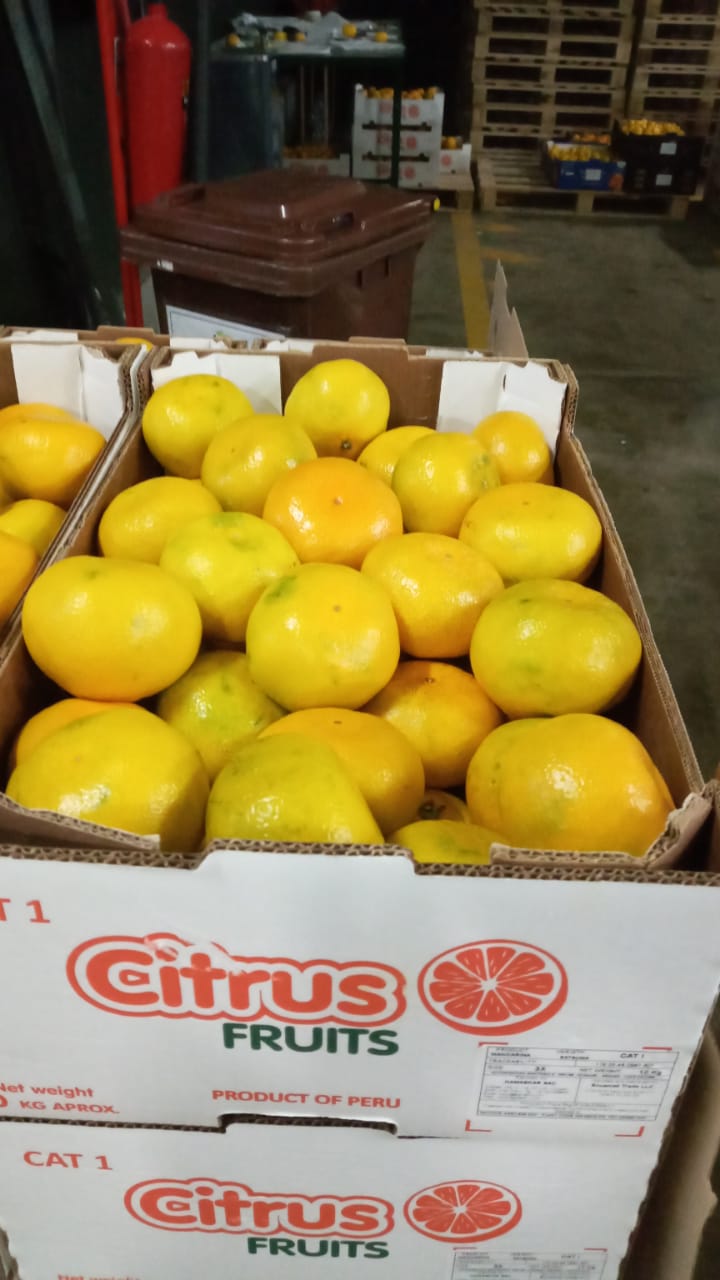 Fresh Mandarin from Peru thumbnail 6