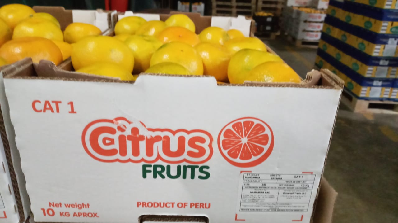 Fresh Mandarin from Peru thumbnail 7