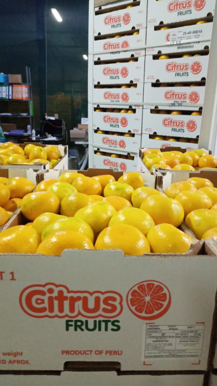 Fresh Mandarin from Peru thumbnail 8
