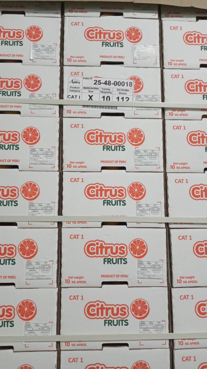 Fresh Mandarin from Peru thumbnail 9
