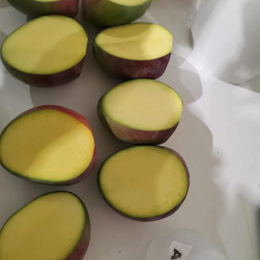 Fresh Kent Mango from Peru thumbnail 4