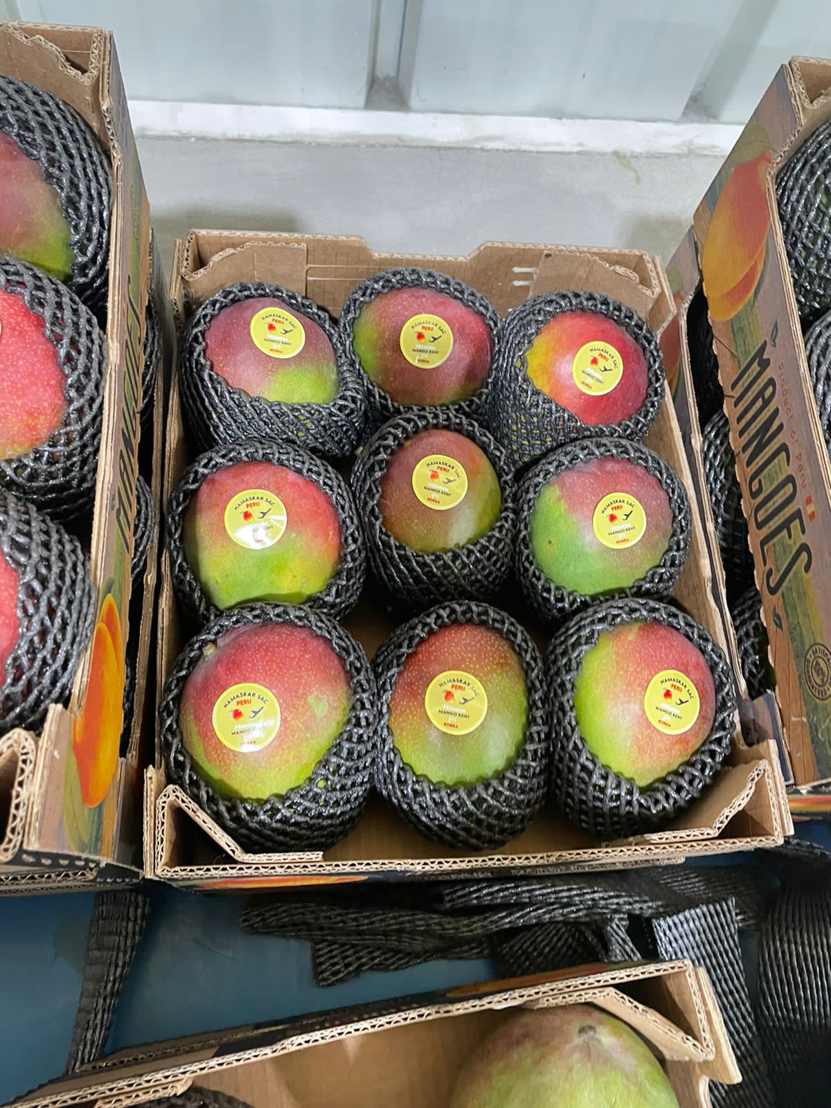 Fresh Kent Mango from Peru thumbnail 7