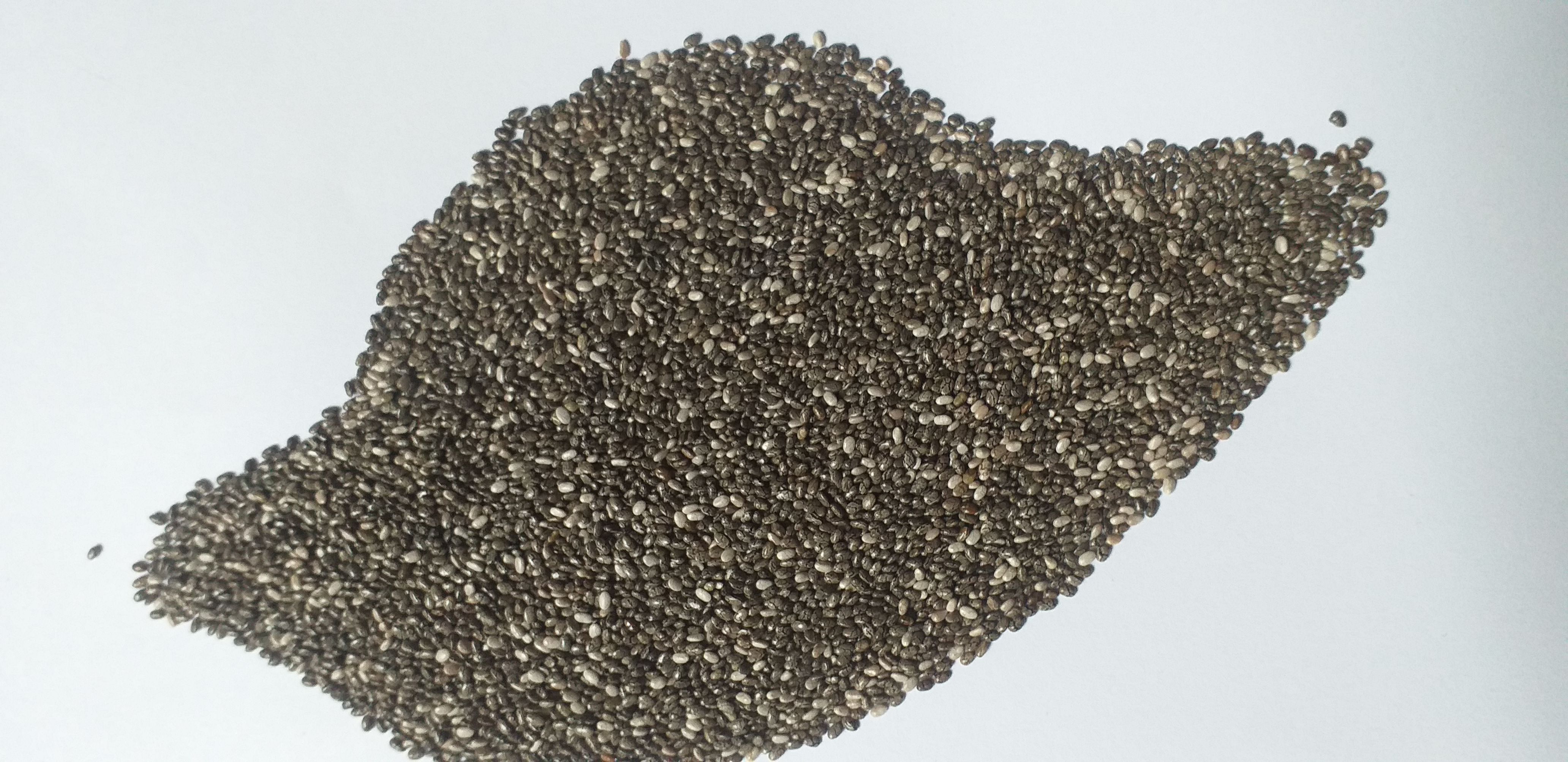 Chia Seeds from Peru thumbnail 3