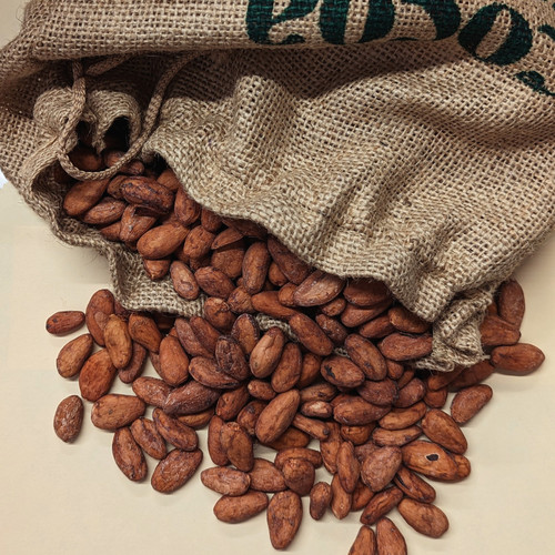 Cocoa Beans from Peru thumbnail 4