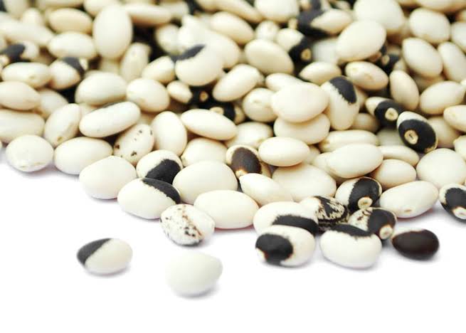 Premium Andean Lupin Beans (Tarwi) thumbnail 2