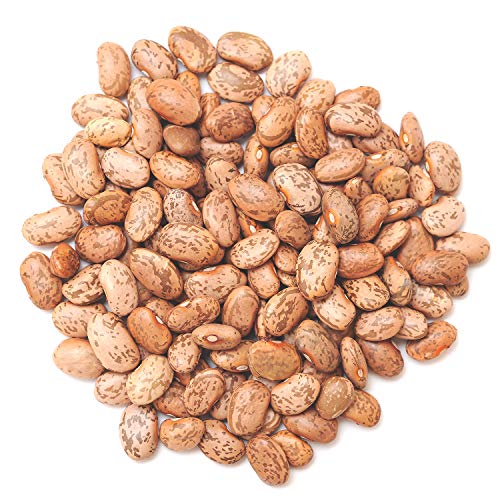 Pinto Bean thumbnail 2
