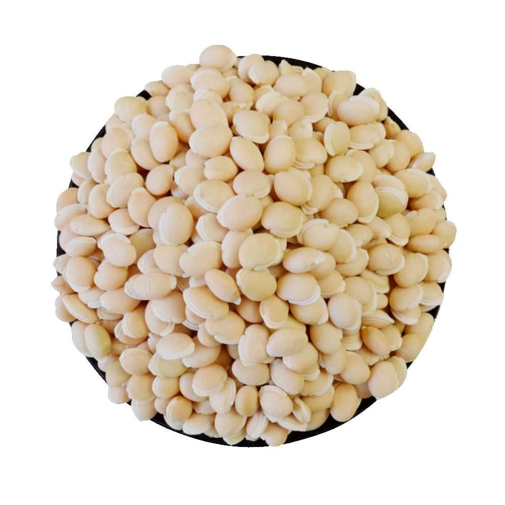 Peruvian Lablab Bean (Hyacinth Bean) thumbnail 3
