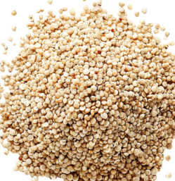 Organic Kiwicha / Amaranth thumbnail 2