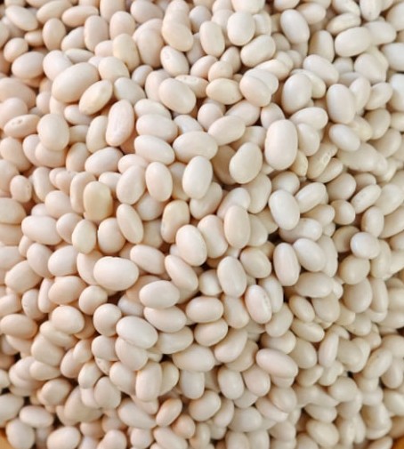 Panamito Bean thumbnail 2