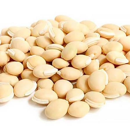Caballero Bean From Perú thumbnail 2