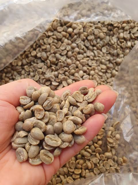 Green Arabica Coffee Beans thumbnail 2