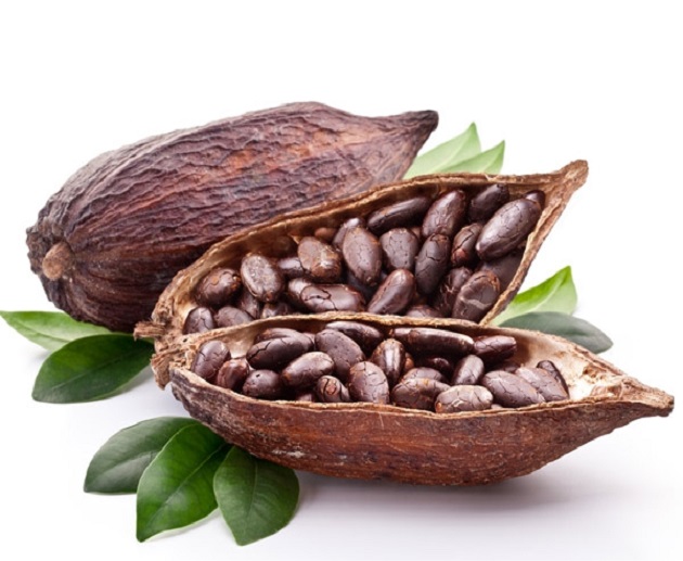 Products Details || Cacao Beans.html